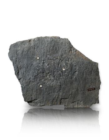 Piedra Laja Gris